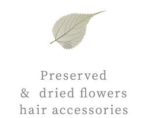 Preserved & dried flowers hair accessories