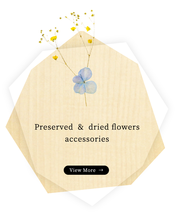 Preserved & dried flowers accessories