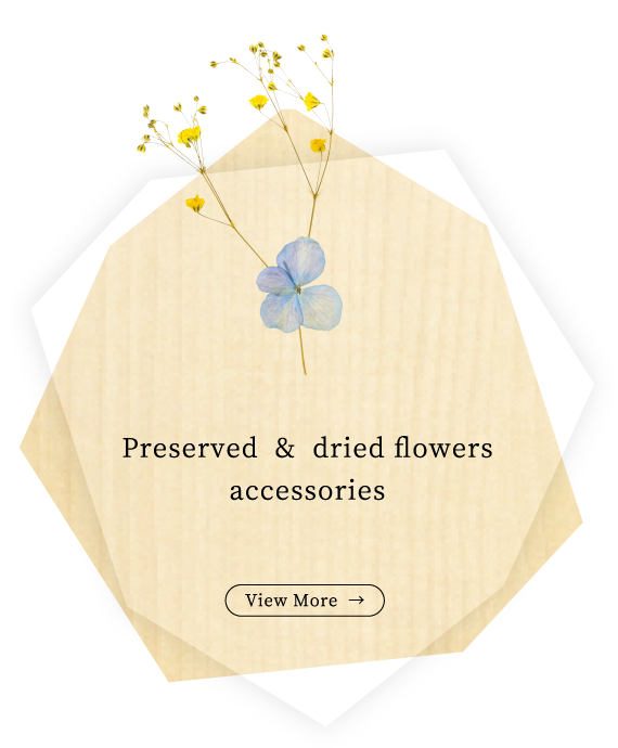 Preserved & dried flowers accessories